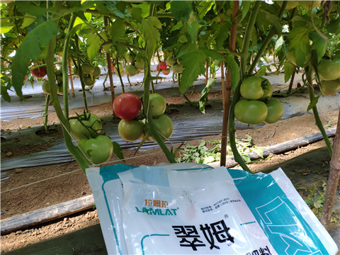 水溶肥，