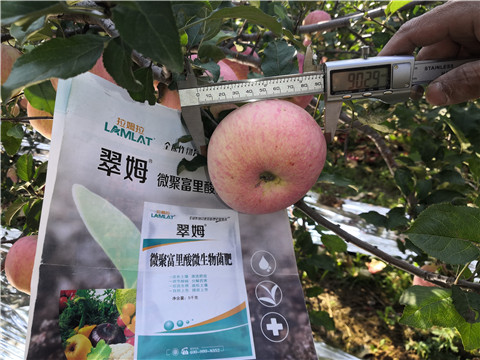 水溶肥，磷酸二氫鉀，微生物菌劑
