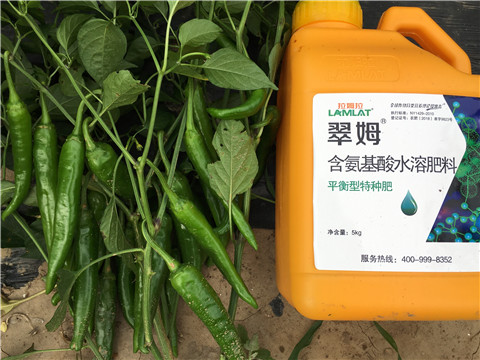根碧多，微生物菌，葉面肥