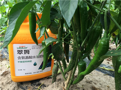 根碧多，微生物菌，葉面肥