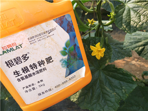 拉姆拉，根碧多，微生物菌劑