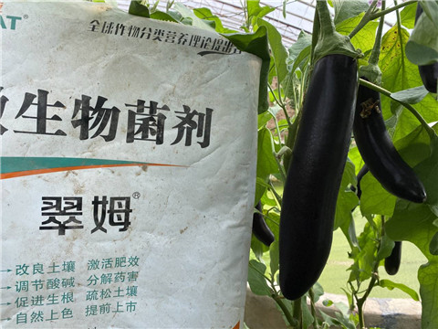 微生物菌劑，拉姆拉