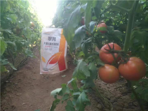 大量元素水溶肥，拉姆拉 