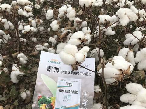 微生物菌劑，根碧多，拉姆拉