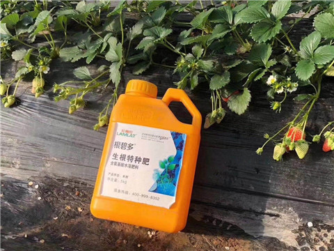 根碧多，微生物菌劑，拉姆拉