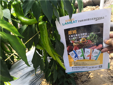 復(fù)合肥料，拉姆拉