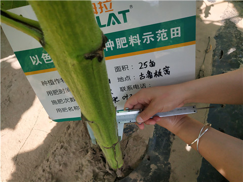 水溶肥，微生物菌劑，拉姆拉