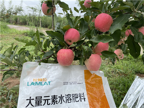 水溶肥，翠姆，拉姆拉