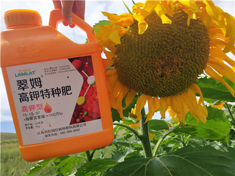 進口水溶肥，拉姆拉