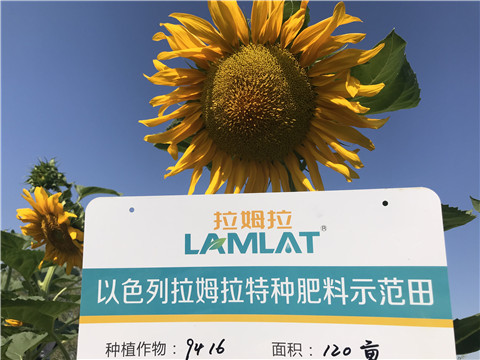 進口水溶肥，拉姆拉