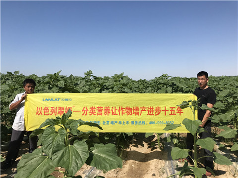 進口水溶肥，拉姆拉