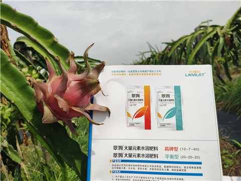 進(jìn)口水溶肥，拉姆拉，翠姆