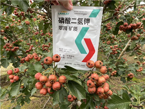 磷酸二氫鉀，拉姆拉，翠姆