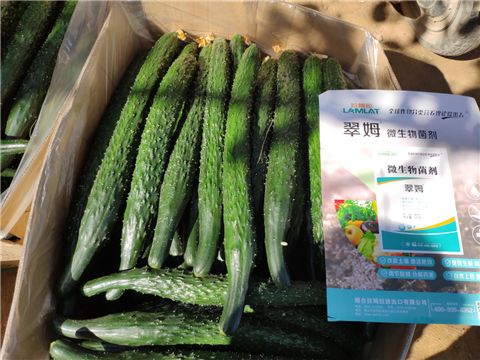 微生物菌劑，拉姆拉，翠姆