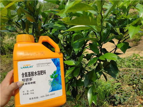 沖施肥，拉姆拉，翠姆