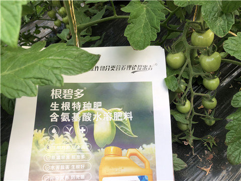 水溶肥，拉姆拉，翠姆