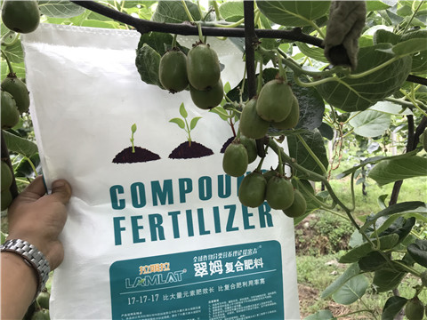 顆粒水溶肥，拉姆拉，翠姆