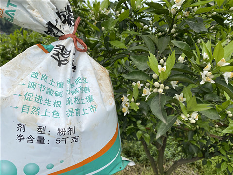 水溶肥，翠姆，拉姆拉