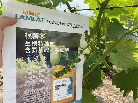 水溶肥，拉姆拉，翠姆