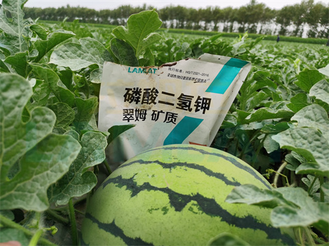 水溶肥，拉姆拉，翠姆