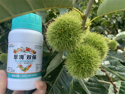 水溶肥品牌,板栗?；ū９?翠姆雙保