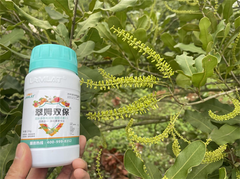進(jìn)口水溶肥,堅果種植,翠姆水溶肥
